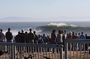 Steamer Lane 11-08-09