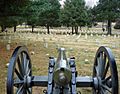 Stones River cannon and cemetery