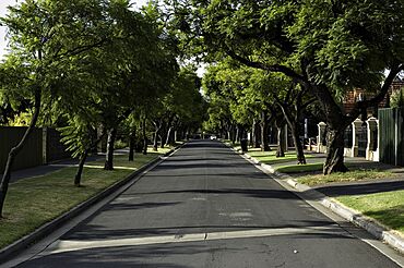 Toorak Gardens Street.jpg