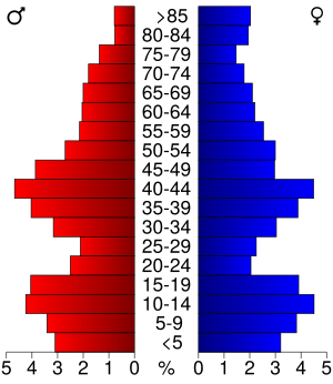 USA Wilkin County, Minnesota age pyramid