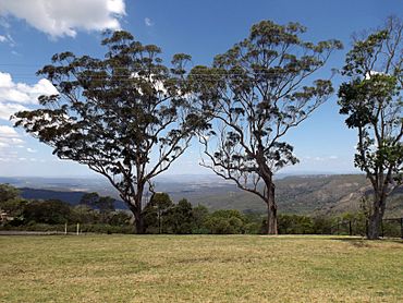 View southeastwards from Mount Kynoch.jpg