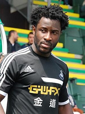 Wilfried Bony (2013).JPG