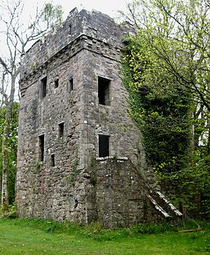 Ardgowan Castle 19 May 2010.jpg