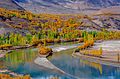 Autumn at Phandar Valley