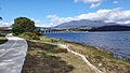 Benches are dotted along Rose Bay foreshore