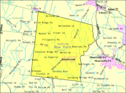 U.S. Census map