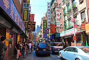 Chinatown manhattan 2009