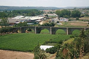 Coria old bridge