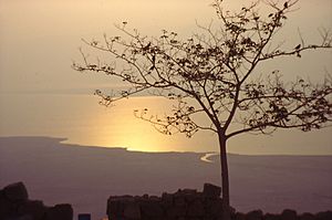 Dead Sea Sunrise