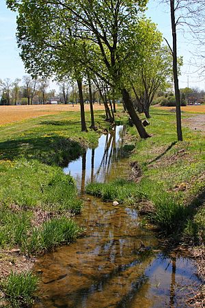 Dry Run looking downstream