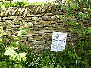 Dry Stone Wall