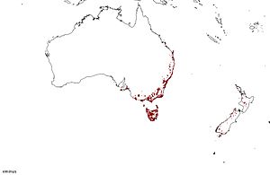 Empodisma minus distribution map