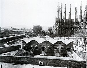 Escuelas Sagrada Familia