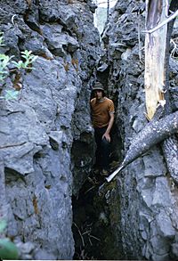 Flourmill lava flow