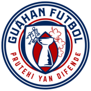 Shirt badge/Association crest