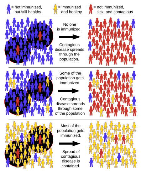 Herd immunity