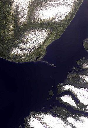 Homer alaska satellite map