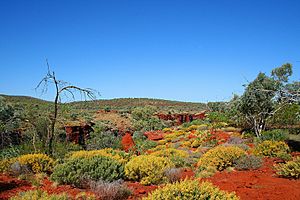 Karijini1