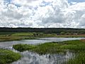 Leighton Moss Grisedale