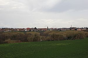 Marrubiu-Terralba-Arborea railway station