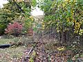 Mount Beacon Incline Railway Track