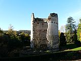 Périgueux tour Vésone (4)