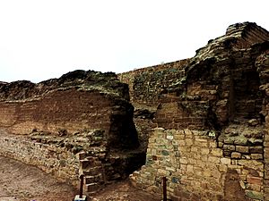 Pachacamac (Peru) (14895426959)