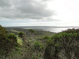 Pelican lagoon and American River.JPG