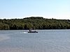 A pontoon boat on a lake with a forested shore