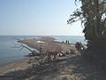 Point Pelee looking south