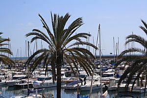 Port del Masnou.jpg