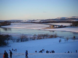 Snow, november 2010 021