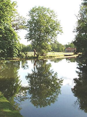 Tree reflected in the Cherwell, Oxford - geograph.org.uk - 192081