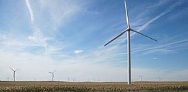 Turbines iowa