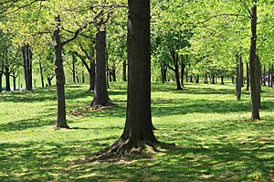 USA-Constitution Gardens