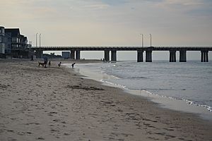 Virginia Beach VA Chics Beach