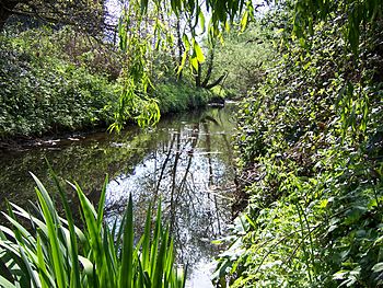 Yeading Brook - Ruislip Gardens.jpg