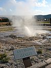 Anemone Geyser.jpg