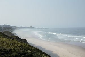 Beverly Beach, Oregon (36362093605)