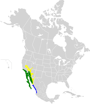 Calypte costae map.svg