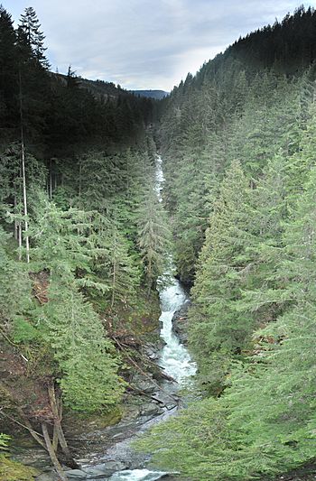 Carbon River pano 01A.jpg