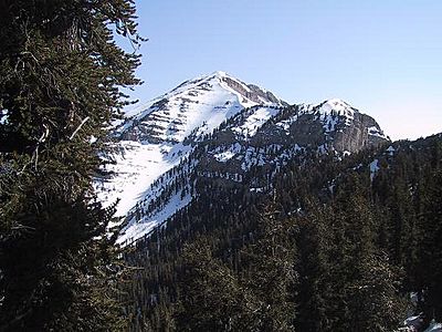 Charleston peak