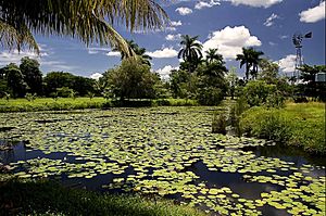 Ciénaga de Zapata