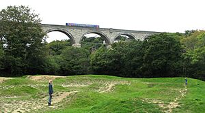 Collegewood viaduct 153377