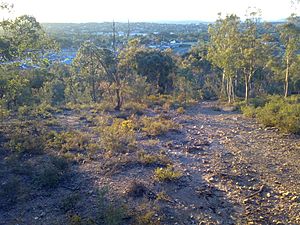 East Queanbeyan facing westerly