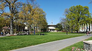 Eric Freidheim Quadrangle