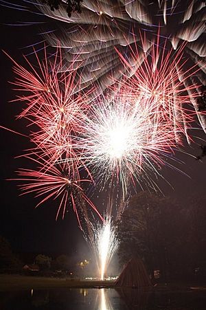 Flameburst 2012 Main Display Across the Lake