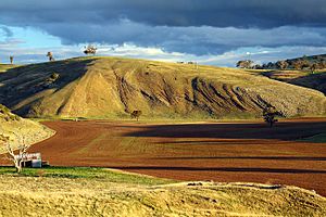 Fossil Hill, Cliefden