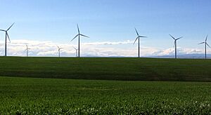 Gilliam Wheat and Wind Farming