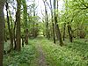 Glapthorn Cow Pasture